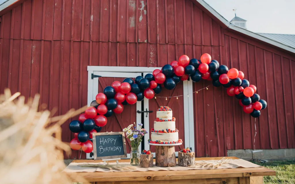 Red Barn Focus