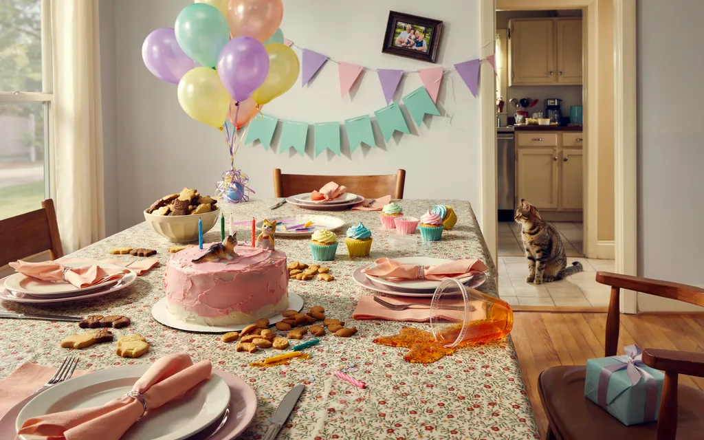 Why Do Some Cat Parties End Up Looking Cluttered & How Can I Avoid That?