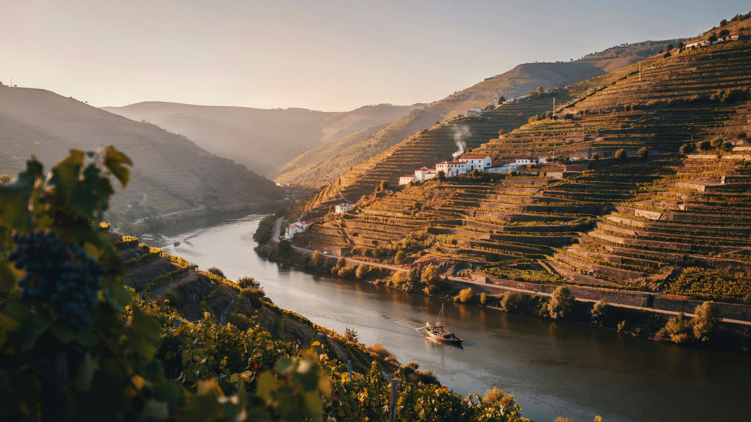Terraced vineyards of the Douro Valley Portugal cascading to the river with a traditional boat below